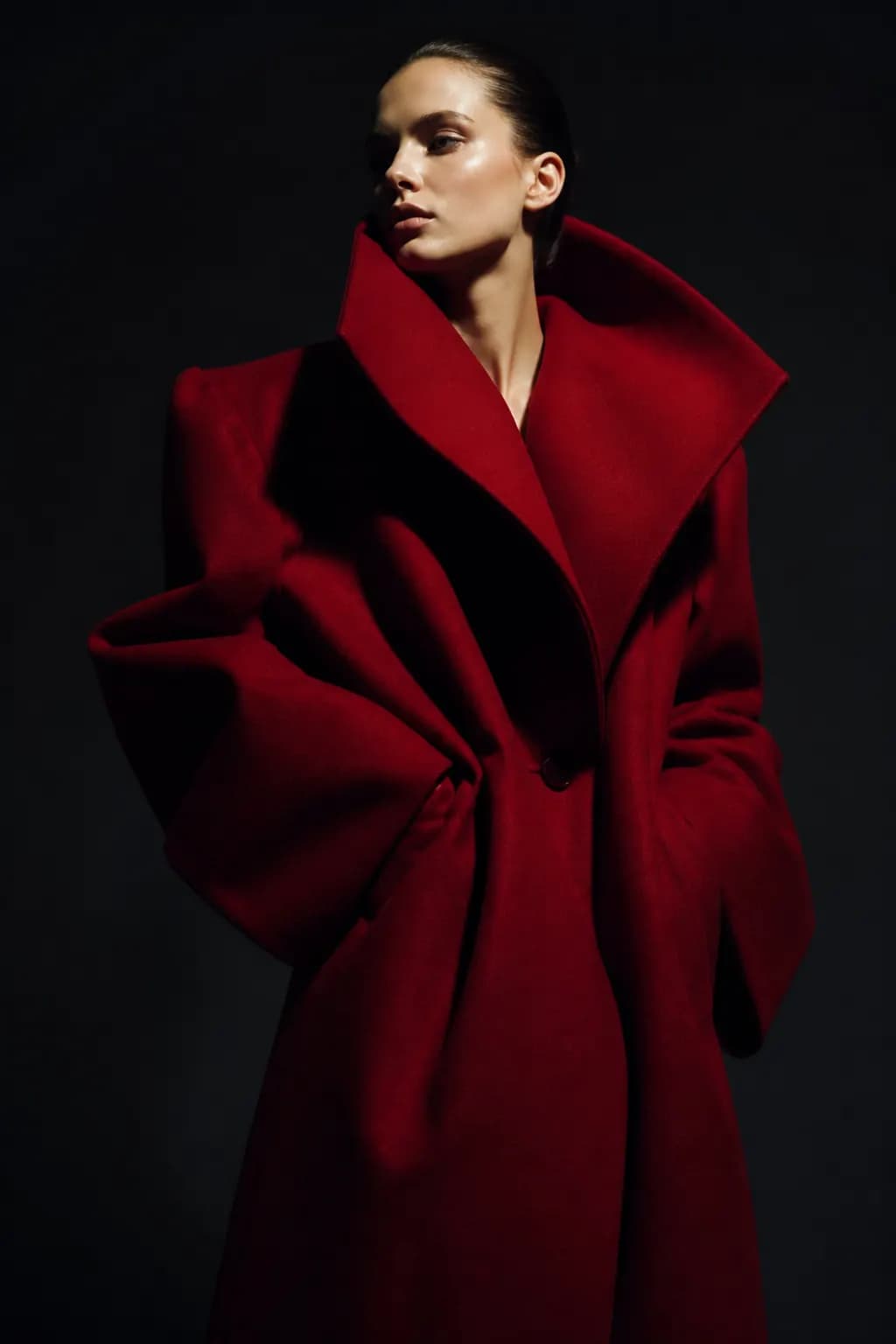 Fashion-Porträt im Studio